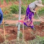 Gartenarbeit im Isaan Thailand